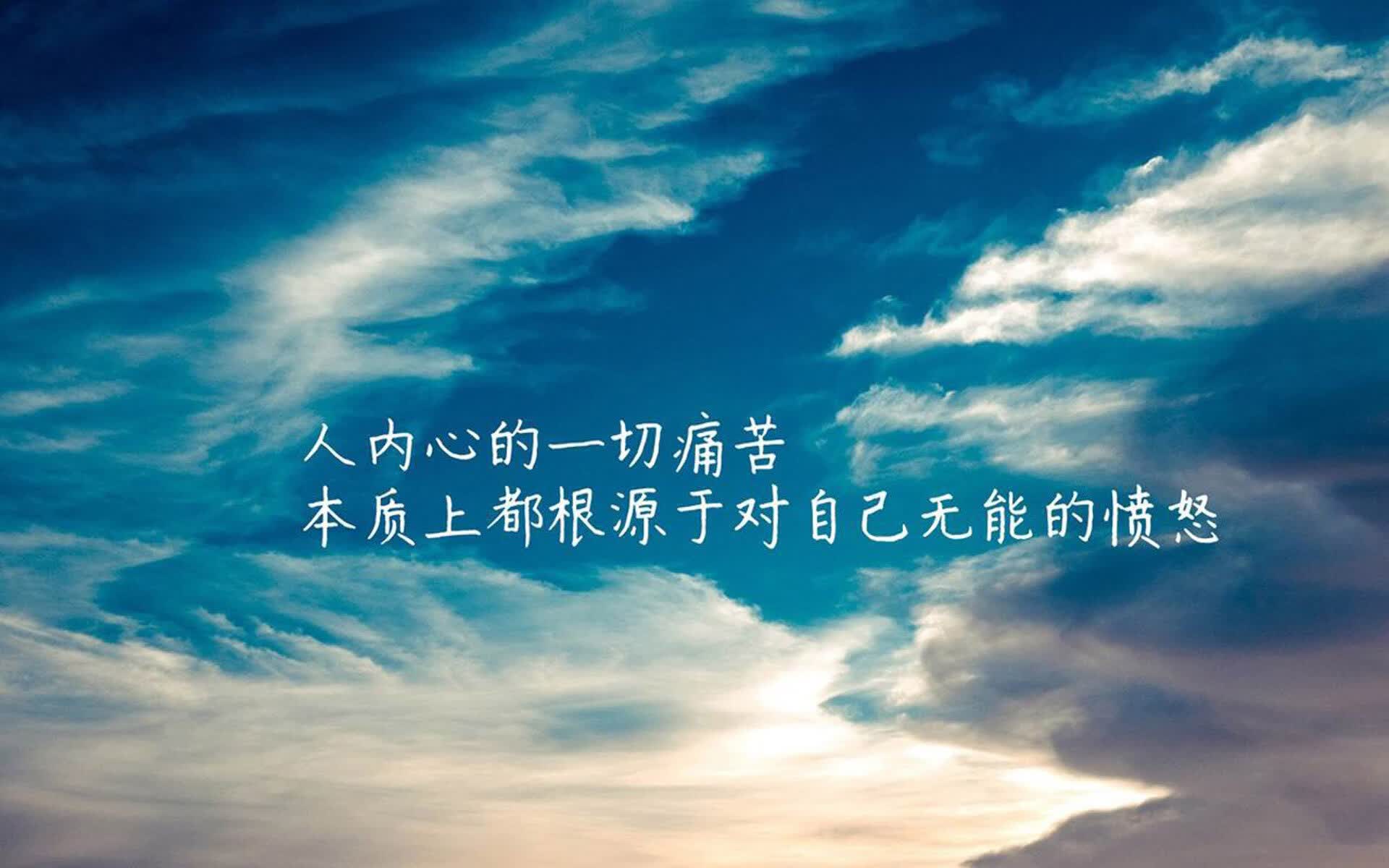 世界游泳接力平台回放与分析第14期上线，游泳接力赛夺冠视频